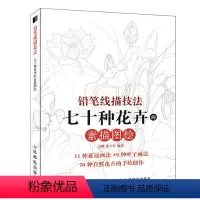 [正版]铅笔线描技法 七十种花卉的素描图绘 素描书学素描画花教程书白描线描花卉教程