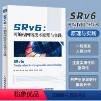 [正版]SRv6:可编程网络技术原理与实践 IP网络通信数据网络应用研发SRv6技术原理TCP/IP技术云计算