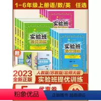 [人教版]数学+语文 六年级下 [正版]2023版春雨教育实验班提优训练小学一二三四五六年级上下册语文数学英语人教版北师