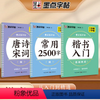 [3册]唐诗宋词+楷书入门+楷书常用2500 [正版]练字宝楷书凹槽练字帖3本装初学者成人手写练字男生女生字体漂亮字钢笔