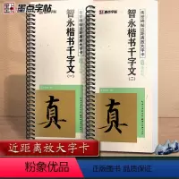 [正版]墨点字帖智永楷书千字文字帖毛笔临摹字帖原帖精修全文楷书入门教程练字帖套装传世碑帖放大版毛笔字帖近距离放大字卡书