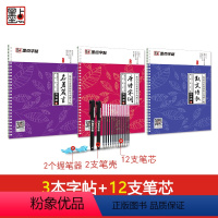 行书练字套装(3本凹槽字帖+12支笔芯+2笔壳+2握笔器) [正版]字帖男生霸气行书密码行书练字帖成年硬笔书法练字大学生