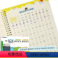 [正版]控笔字贴小学生字帖楷书练字本小学儿童初级练字神器反复使用练字板小学生练字帖每日一练荆霄鹏楷书字帖
