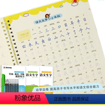 [正版]控笔字贴小学生字帖楷书练字本小学儿童初级练字神器反复使用练字板小学生练字帖每日一练荆霄鹏楷书字帖