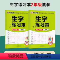 [2册装]二年级上下册 [正版]一年级字帖练字墨点字帖小学生语文二年级三年级人教版上册下册同步生字练习本每日一练硬笔书法