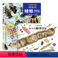 [全2册]神秘的蟑螂图鉴+神奇的种子图鉴 [正版]生命的力量神秘的蟑螂图鉴神奇的种子图鉴 自然科学绘本昆虫百科知识启蒙书