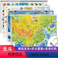 [共4张]中国世界+简史地图(筒装发货) [正版]北斗共4张中国世界地图简史地图星座地图挂图 地理百科地图儿童房高清防水