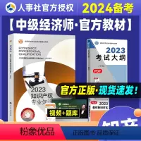[正版]备考2024年中级经济师考试 知识产权专业知识与实务2023年版全国经济专业技术资格考试用书可搭经济基础知识中