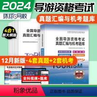 [正版]环球备考2024年全国导游证资格证真题试卷全套4本地方导游基础知识业务政策与法律法规中国导游人员考试旅游书出版