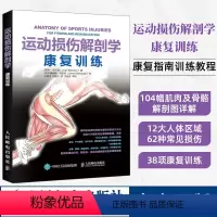 [正版] 运动损伤解剖学 康复训练 利 布兰登著 运动解剖学手法治疗康复训练治疗运动系统损伤修复预防治疗康复精准拉伸健