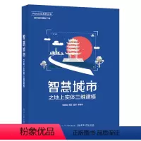 [正版]出版社直供 智慧城市之地上实体三维建模