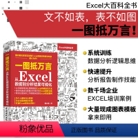 [正版]excel数据处理 一图抵万言从Excel数据到分析结果可视化 excel表格制作 excel图表Excel数