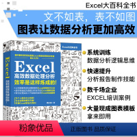 [正版]书籍Excel高效数据处理分析效率是这样炼成的 excel数据处理分析 excel数据透视 表数据分析与数据处