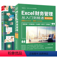 [正版]2册 审计效率手册用Excel高效完成审计工作+Excel财务管理从入门到精通审计人员职场升级利器提升审计效率