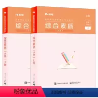 [正版]RT 综合素质(小学) 粉笔教师 考试 教师资格考试 电子工业出版社 9787121353734