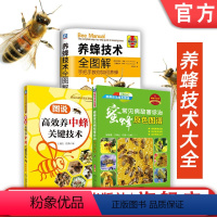 [正版]套装 养蜂技术大全 3件套 图说高效养中蜂关键技术 养蜂技术全图解 蜜蜂常见病敌害诊治原色图谱