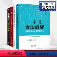 [正版]全套4册 互联网信贷系列书 互联网信贷风险与大数据 一本书看透信贷 风控行业风险与信贷案例 公司信贷风险管理风