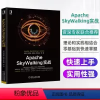 [正版]Apache SkyWalking实战