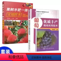[正版]果树水肥一体化实用技术 省钱省肥节约水技术书籍 水果灌溉施肥栽培种植书籍 设备设计安装调试系统操作维护技术 果