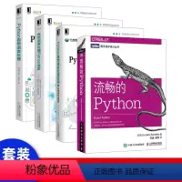 [正版]Python自然语言处理实战 核心技术与算法 人工智能语音识别技术 自然语言处理教程书籍 自然语言文本提取机