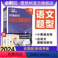 语文 小卷组合练 全国版(四川 陕西 内蒙 宁夏 青海 西藏) [正版]理想树2024新版高考必刷题分题型强化