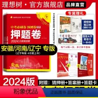 套装:语数英物化历道全科7本[河南专用] 九年级/初中三年级 [正版]理想树2024版中考押题卷数学语文英语物理化学历史