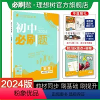 地理 七年级上 [正版]理想树2024版初中必刷题七年级上册地理湘教版初中同步练习七年级地理教辅资料随堂一遍过地理同步刷