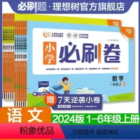 小学必刷卷--语文 人教版 一年级上 [正版]理想树2024新版小学必刷卷语文数学人教版北师版苏教版一二三四五六年级上册