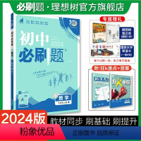 数学 七年级上 [正版]理想树2024版初中七年级上册数学湘教版初中同步练习七年级数学教辅资料随堂一遍过数学同步刷题知识