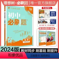 化学 科粤版 九年级上 [正版]理想树2024新版初中必刷题九年级上册化学科粤版KY初中同步练习九年级化学教辅资料配赠狂