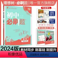 语文 九年级上 [正版]理想树2024新版初中必刷题九年级上册语文人教版初中同步练习九年级语文教辅资料配赠狂K重点随堂一