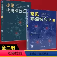[正版]全2册常见疼痛综合征+少见疼痛综合征 第4版 临床医学疼痛诊断技术方法教程 CT常规放射线诊断图 医师迅速提升