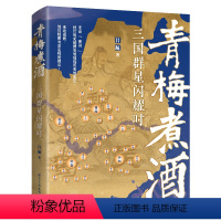 [正版]青梅煮酒 三国群星闪耀时 诙谐幽默的三国史 有情有义的三国史 新颖别致的三国史 国际文化出版公司