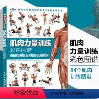 [正版]健身书籍大全 肌肉力量训练彩色图谱 徒手健身教练力量与肌肉训练图解 拉伸训练 力量训练书籍 肌肉拉伸书 健美书