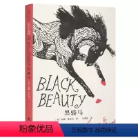 [正版]企鹅手绣经典·10周年纪念版:黑骏马