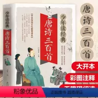 唐诗三百首 [正版]唐诗三百首 彩图带注释青少年版课外阅读书籍小学生三四年级五六年级上册下国学经典唐诗300首中国古诗词