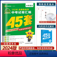 语文 全国通用 [正版]2024天星金考卷中考45套语文全国版天星全国各省市中考真题汇编语文中考语文真题试卷中考语文