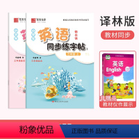 三年级[上下册]英语同步练字帖 小学通用 [正版]小学英语衡水体字帖三年级英语单词短语描红四五六年级译林版同步练字帖英语