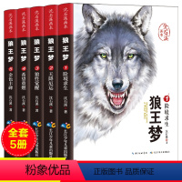 狼王梦 全5册 [正版]全集8册 动物大王小说沈石溪系列课外书精美手绘插图儿童文学经典孤狼鹿王三四五六年级课外书籍读物中