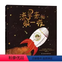 流星来的那一夜 [正版]流星来的那一夜 0-2宝宝岁亲子共读早教启蒙故事书3-4-5-6岁奇境系列幼儿园儿童大中小班软科