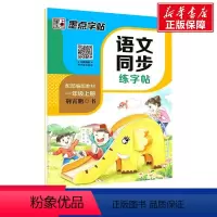 [正版]DS.墨点字帖:2020秋语文同步练字帖.1年级上册 墨点字帖 书籍 书店 湖北美术出版社