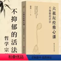 [正版]不抑郁的活法 六祖坛经修心课 陈坤力荐 唤醒身心潜藏活力 心灵疗愈励志经典书 华东师范大学出版社 费勇作品六祖