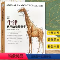 [正版]牛津艺用动物解剖学 中英对照版500余幅常见动物解剖结构示意图动物骨骼与肌肉运动结构 动物绘画技法解剖教程教学