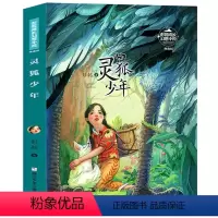 彭懿成长幻想小说:灵狐少年 [正版]彭懿成长幻想小说典藏版 灵狐少年百班千人 五年级 课外书 小学生校园课外书阅读书籍