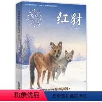 红豺 [正版]沈石溪动物小说全集感悟生命书系 狼王梦姊妹篇 红豺 6-12-15岁儿童文学中小学生课外阅读物 学校阅读课