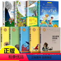 [全套9册]四年级必读经典书目 [正版]四年级必读经典书目 全套9册 草原上的小木屋 青鸟书秘密花园海底两万里小学版总有