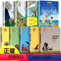 [全套9册]四年级必读经典书目 [正版]四年级必读经典书目 全套9册 草原上的小木屋 青鸟书秘密花园海底两万里小学版总有