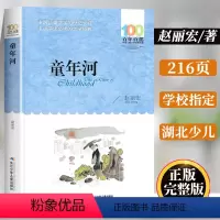 童年河 [正版]童年河赵丽宏 三四五六年级必读的课外书老师经典书目 小学生课外阅读书籍 文学读物8-12岁故事书 湖北长