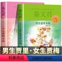 男生贾里全传+女生贾梅全传 [正版]书2册男生贾里全传+女生贾梅全传秦文君儿童文学三四年级课外书必读老师小学生课外阅读书
