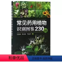 [正版]常见药用植物识别图鉴230种